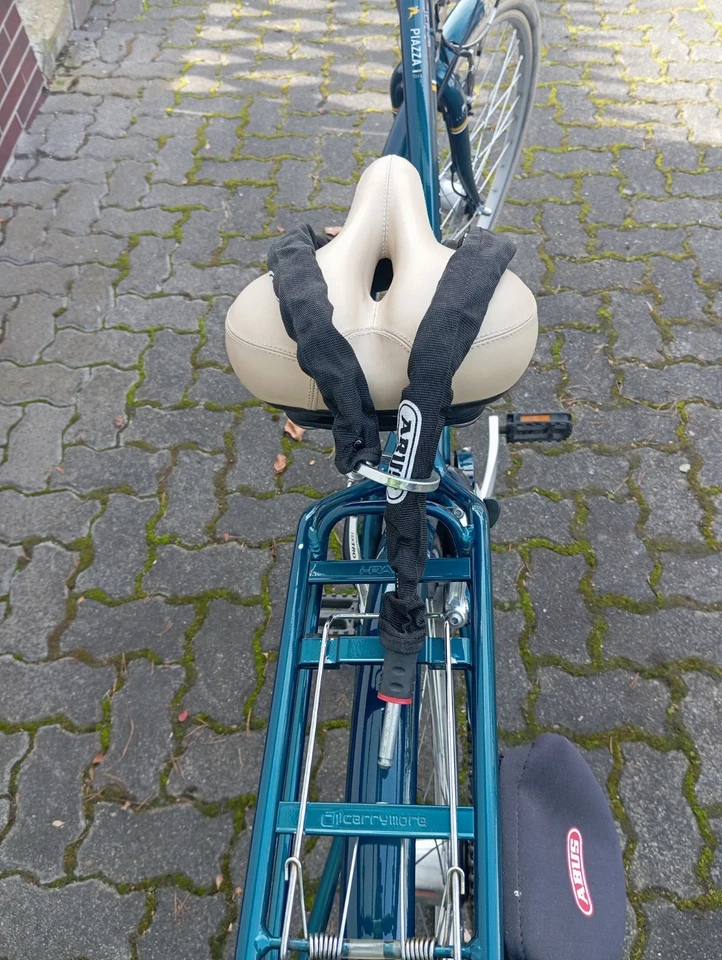 Verkaufe Mein Damenrad Pegasus . Es Verfügt Über Eine Narbenschaltung mit 7 Gang - Bild 2 von 4