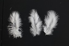 100 Pcs 3    4  Decorative Feathers, Colorful Feathers for DIY