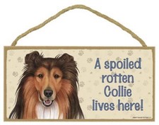  SJT61929 A spoiled rotten Collie lives here wood sign plaque 5" x 10"
