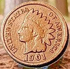 1901 Indian Head Cent Actual Coin Shown - 15