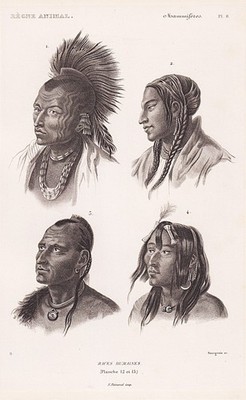 Menschen America people Amerika Indian Indianer engraving Stahlstich Cuvier 1849