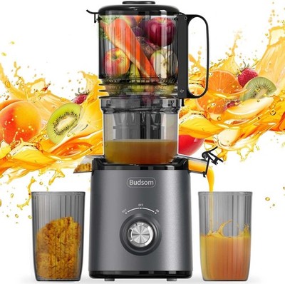 Cold Press Juicer Machine, 300W Slow Masticating, 5.3in Feed Chute, Grey