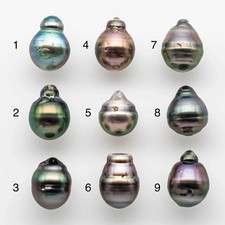 12-13mm Tahitian Pearl Baroque Teardrop Shape in Undrilled Loose Single Piece H