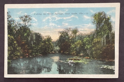 #ad Vintage Postcard Fishing on Silver Springs near Ocala Florida Landscape $4.75