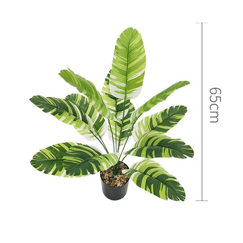 Fern Plant Large Tropical Palm Tree Outdoor Indoor Decor - Picture 16 of 30