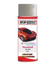 Paint For Vauxhall Combo Cool Grey Spray Aerosol Car Paint + Lacquer Eeu/Gac/