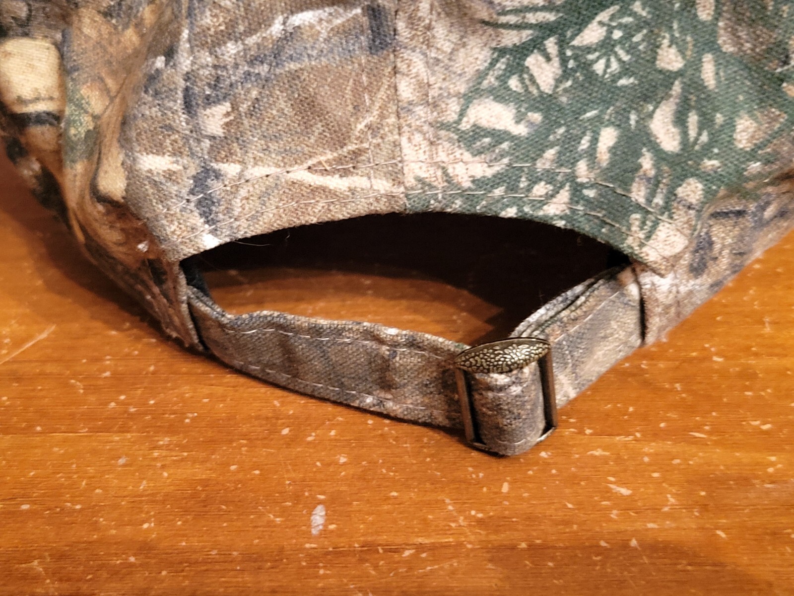Picture 6 of 6