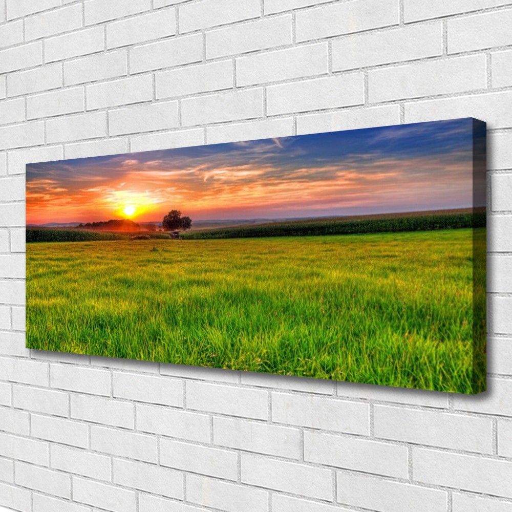 Tableaux 125x50 nature paysage prairie ensoleillée décoration murale grand format