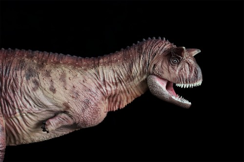 HAOLONGGOOD 1/35 Carnotaurus Dinosaur Model Abelisauridae Collection Decor Gift - Picture 16 of 33
