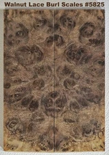 Outstanding Stabilized Claro Walnut Lace Burl scales #5825, 6 x 2 1/8 x 3/8+"