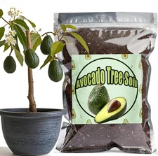 Organic Avocado Tree Potting Soil Mix 1qt, Enhance Growth and Transplant 1qt