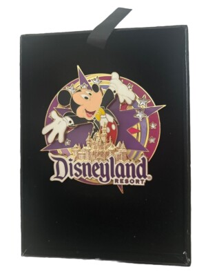 DISNEYLAND Pin 2004 FEATURED ARTIST CELEBRATE AT MICKEYS PLACE Jumbo Spinner New