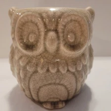 PENNINGTON Central Garden & Pet 4" Ceramic Sage Green Owl Planter Vase 