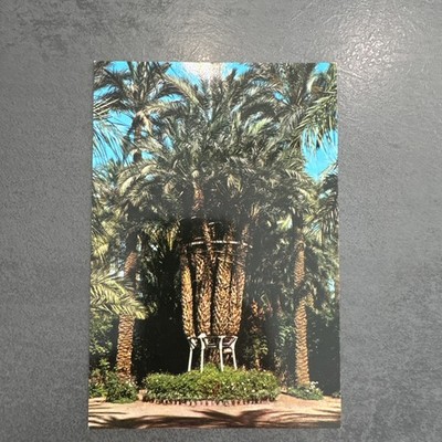 Postkarte Elche Alicante Huerto Del Cura Kaiserpalme Ansichtskarte Ak 2177
