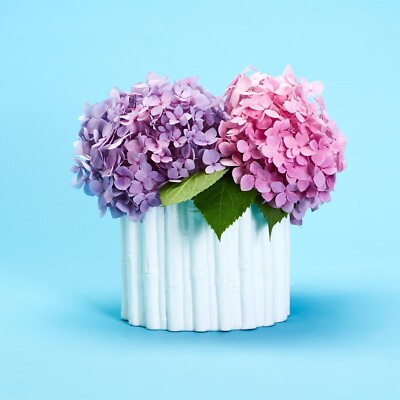 NEW! White Faux Bamboo Ceramic Cachepot from Two s Company