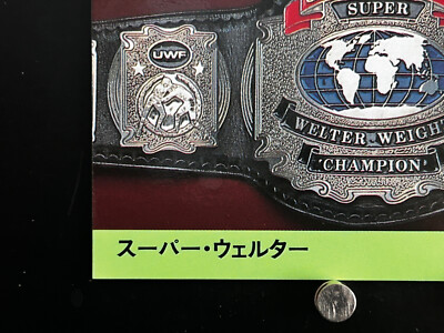 Light middleweight Championship Pro Wrestling Card 355