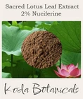 SACRED LOTUS LEAF 2% Nuciferine EXTRACT POWDER Nelumbo nucifera