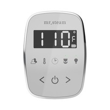 Mr Steam TempoFlex Steam Shower Control and Steamhead in White Polished Brass