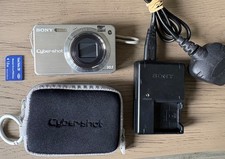 Sony Cyber-shot DSC-W170 10.1MP Digital Compact Camera 5x Optical Zoom and Case