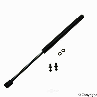 StrongArm 6145 Fits Acura RSX 2002 To 2006 Hatch Liftgate Lift Supports Struts Qty 2