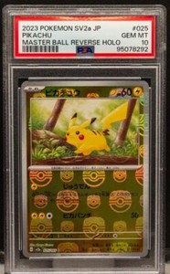 Master Pikachu | eBay Master Pikachu | eBay