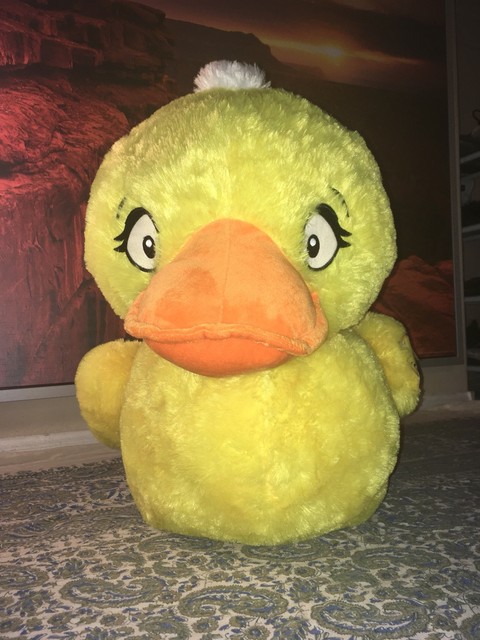 kellytoy duck