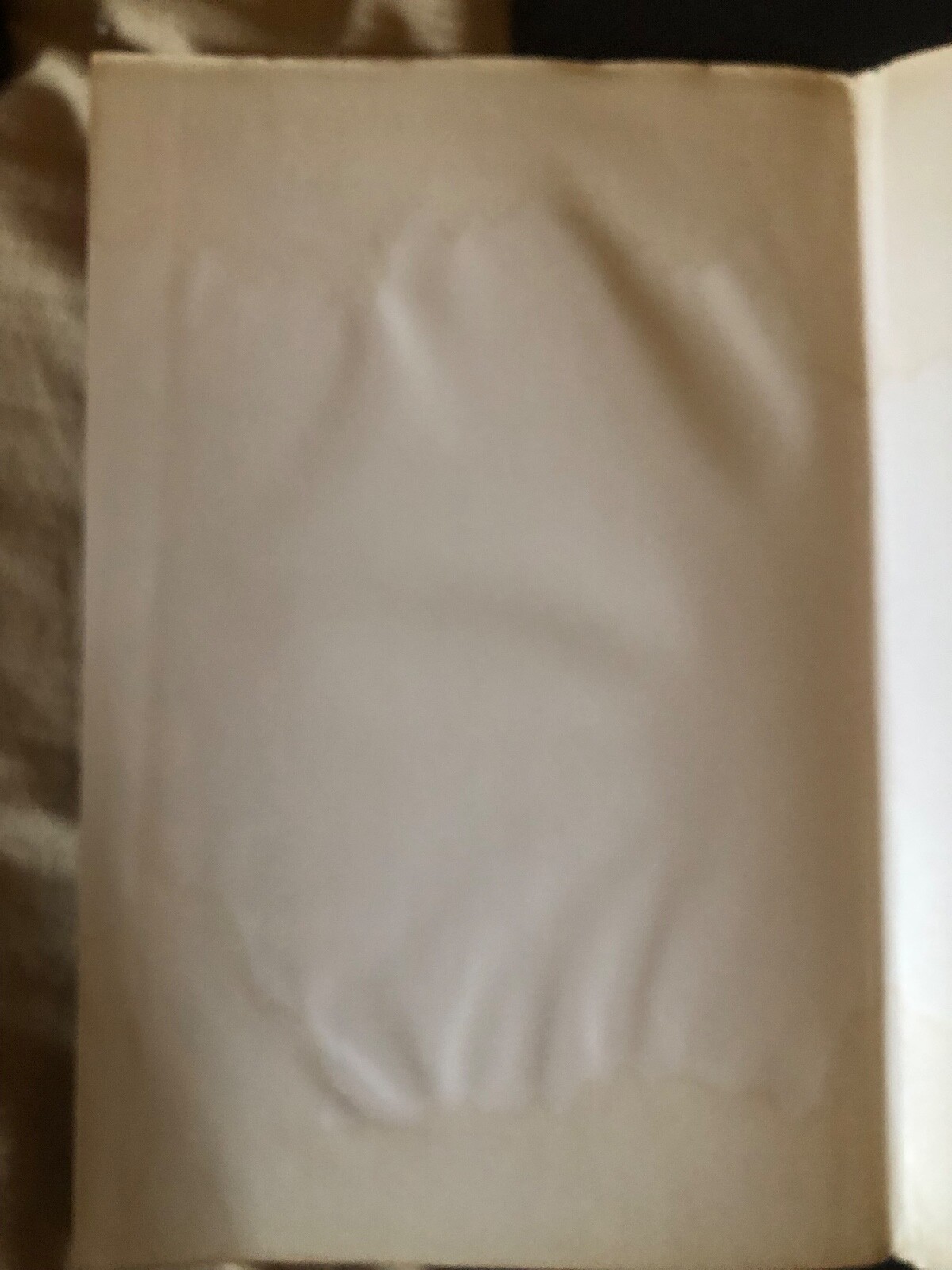 Picture 5 of 14