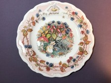 Vintage New WONDERFUL BRAMBLY HEDGE Royal Doulton  AUTUMN  8  PLATE 1983