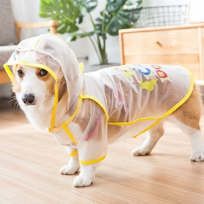 small dog rain coats