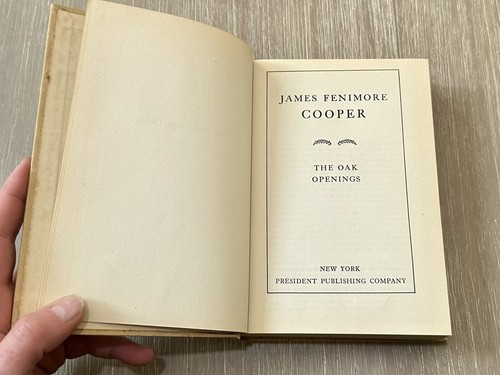 James Fenimore Cooper 15 Volume Set / Vintage / Staging / Decor - Imagen 5 de 8