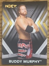 BUDDY MURPHY, WWE 