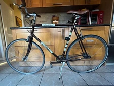Nirve Wilshire Nexus 3 Speed bike 