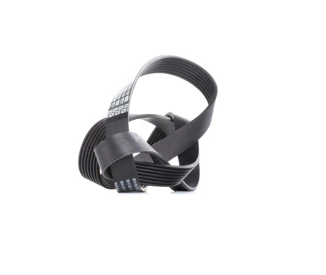 DAYCO Courroie Poly-V Courroie d'accessoire 7PK1759 pour BMW 7 (E65, E66, E67) - Photo 4/4