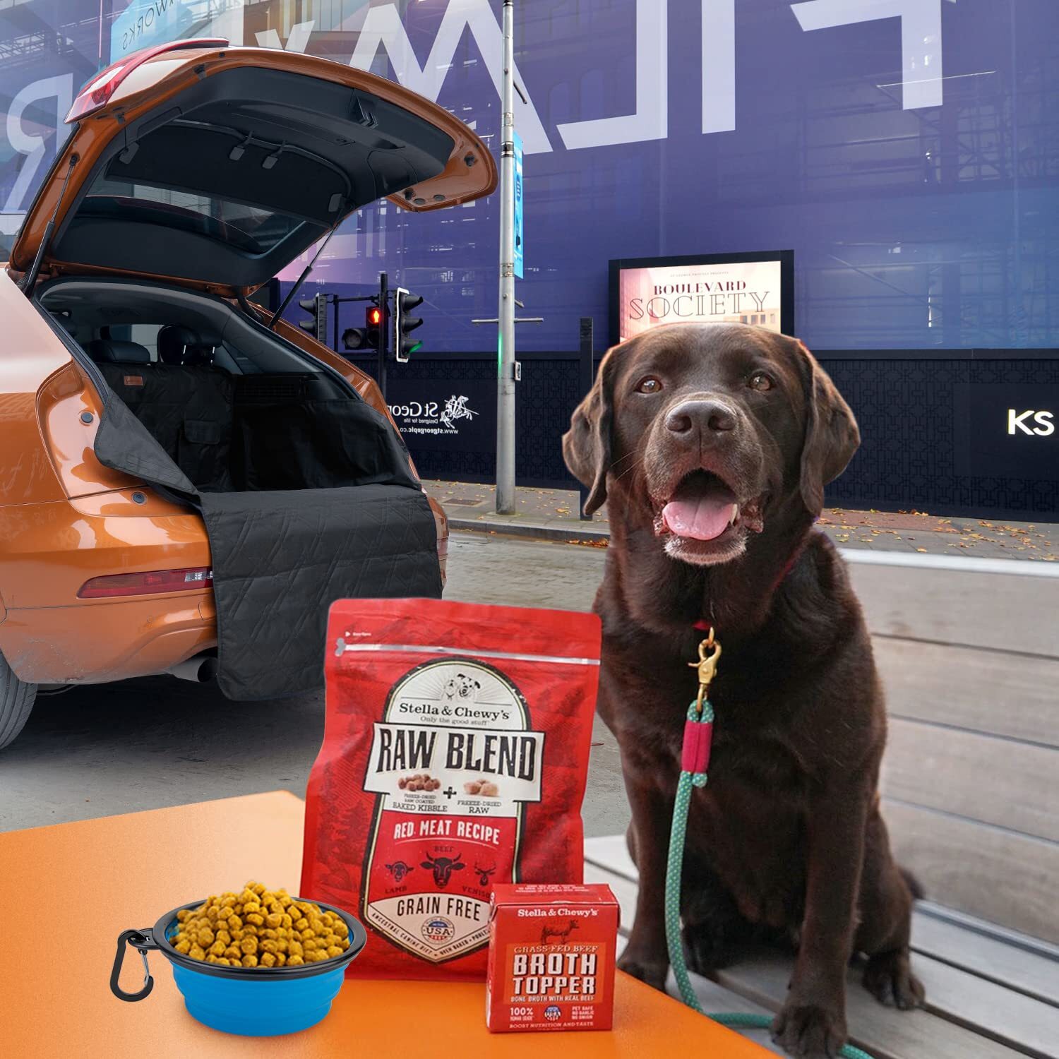looxmeer-car-boot-liner-protector-for-dogs-non-slip-pet-car-boot