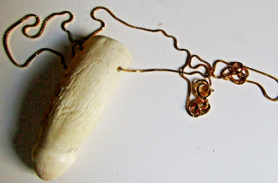 Impresionante diente de cocodrilo amazónico (molar) - plateado dorado - genuino Foto 2 de 4