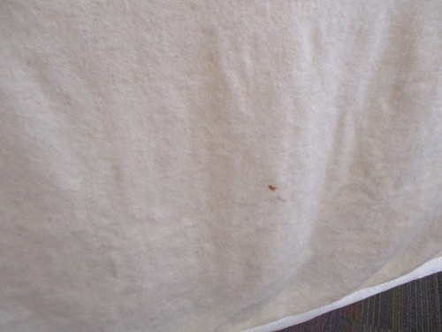 Vintage Wool Blanket, Dormy, Zenith, Cream Throw, Super King Size, Satin Trim - Picture 8 of 17