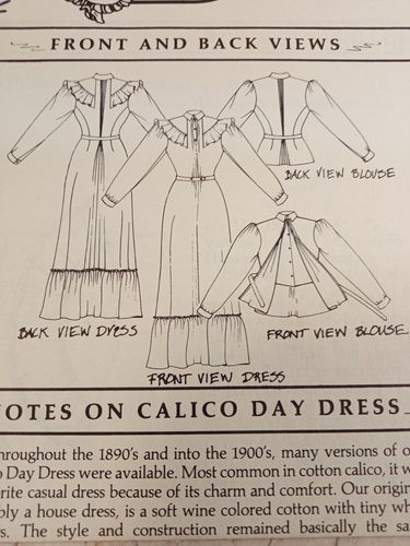 Folkwear 208 Calico Day Dress Wickelbluse Turn of Century S M L Damen UNCUT - Bild 3 von 13