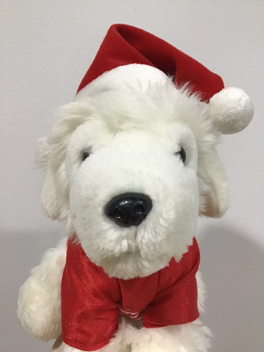 What Kind Of Dogs Were In Santa Paws