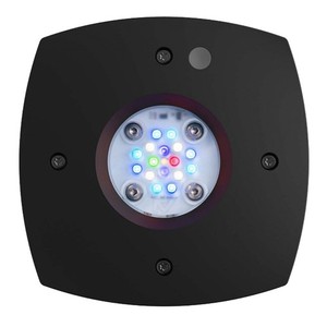 Ai Prime 16hd Reef | eBay UK