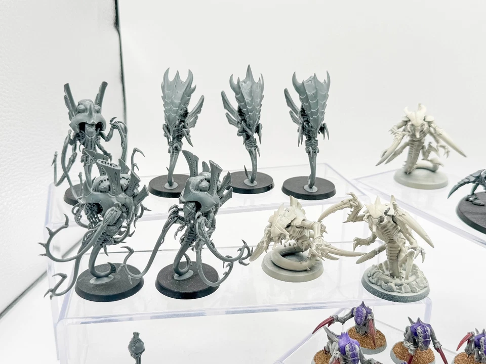 Biovores + Hormagaunts + Ravener Brood + Venomthropes + Zoanthropes Tyranids Foto 2 de 4