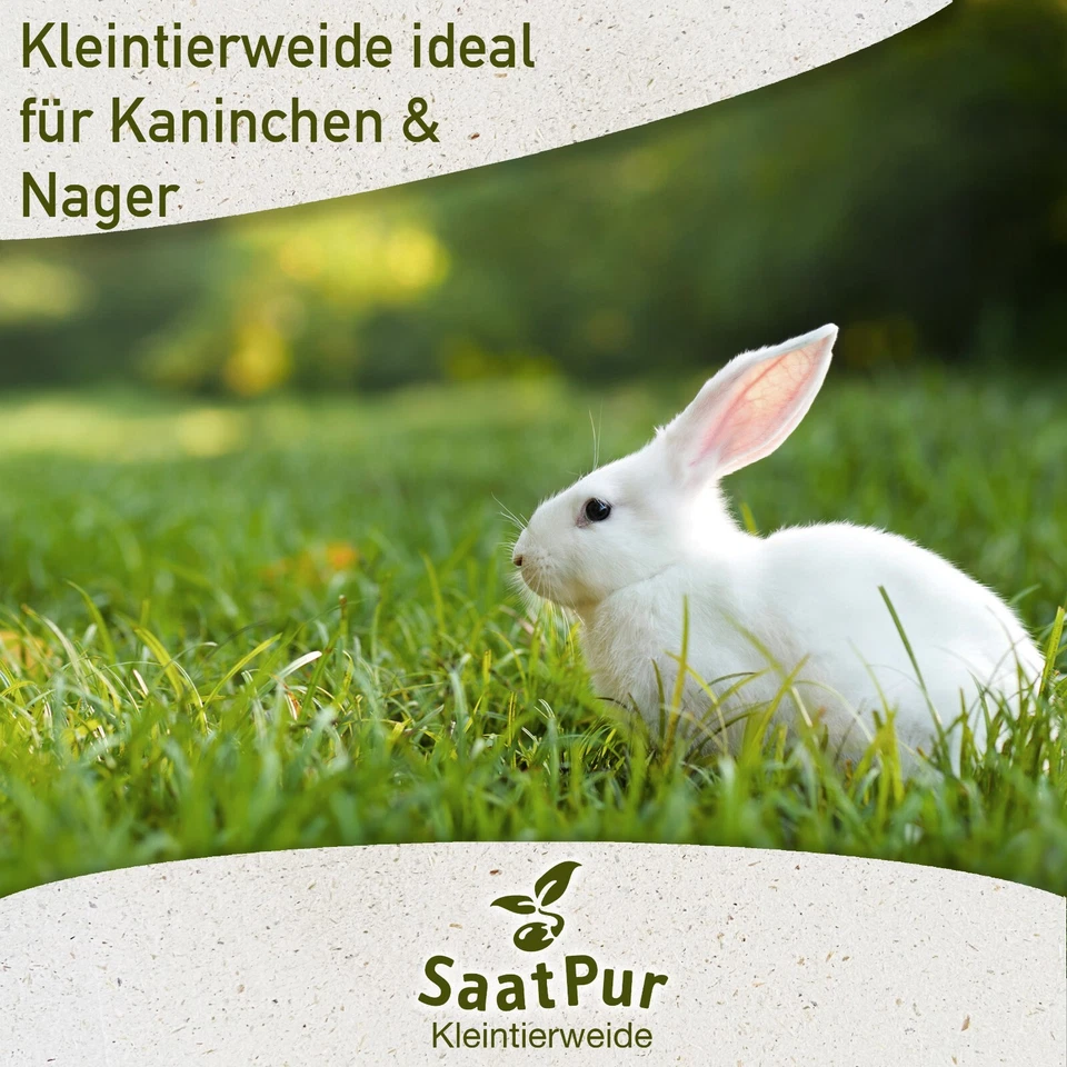 Kleintier-Wiese Nachsaat-Mischung 1kg für ca. 60-80 m² Nachsaat Weidegras Hühner - Bild 3 von 4