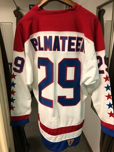 mike palmateer jersey
