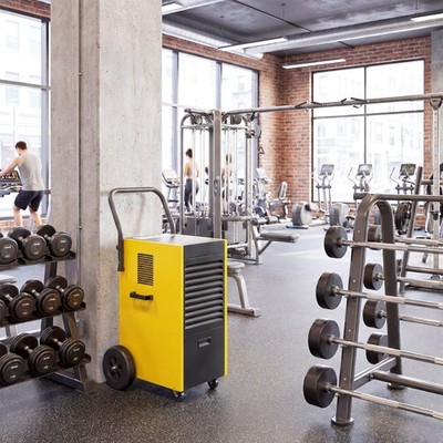 DURHAND Luftentfeuchter 70L/Tag, Bautrockner mit 4 Rädern, 24-Stunden-Timer