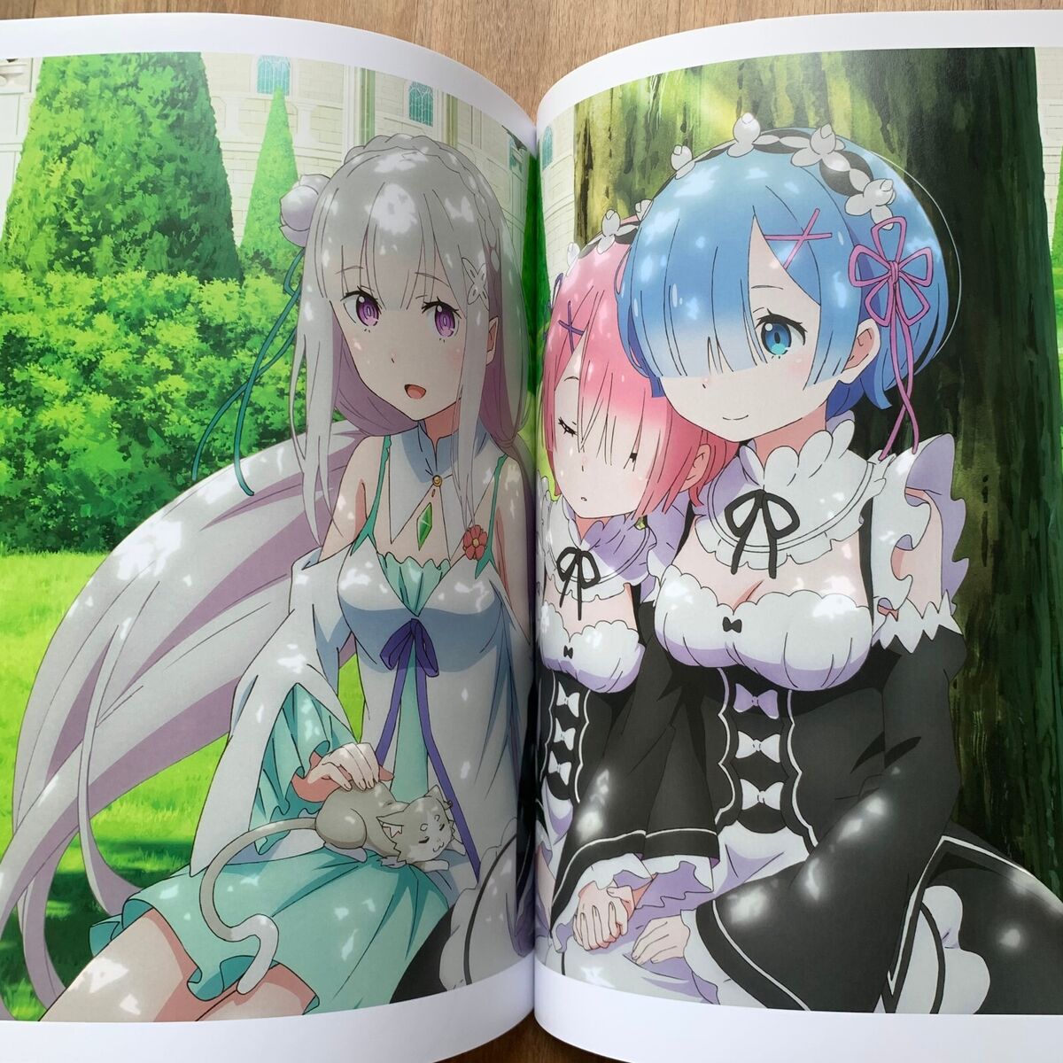 Re : Zero - Starting Life in Another World Coloring Book: Your best Re:  Zero character, More then 25 high quality illustrations . Re: Zero kara