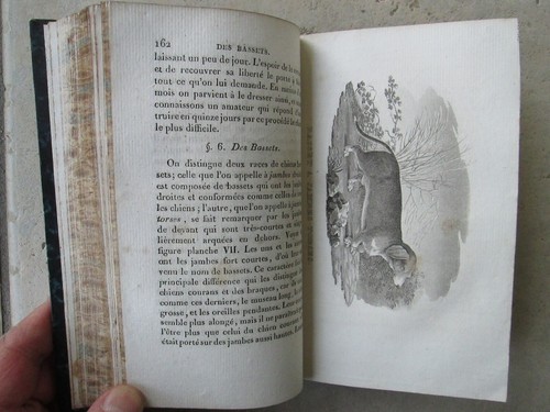 Traité complet de la CHASSE AU FUSIL, chiens de chasse, cheval, 1823. 8 pl. - Picture 11 of 22