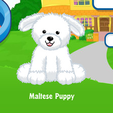Webkinz Cachorro Maltés Virtual PET Código de Adopción Solo Mensaje Webkinz ¡Código de Cachorro!!