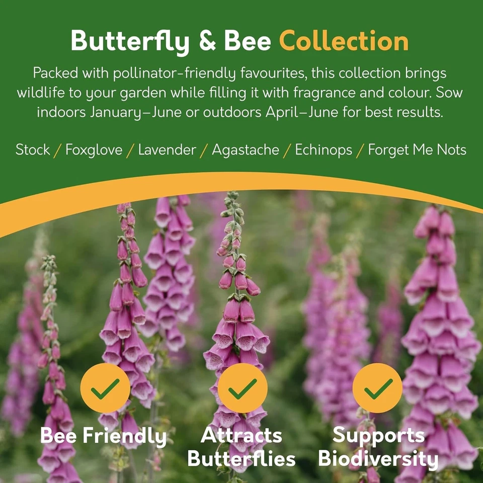 Flower Seeds UK | 24 Varieties | 3100 Seeds | Gardening Gifts Women | Men - Image 4 of 4