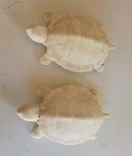 Vintage Naughty Turtles Anatomically Correct ...