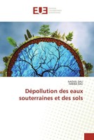 Naouel Dali (U. A.) | DéPollution Des Eaux Souterraines Et Des Sols | Buch