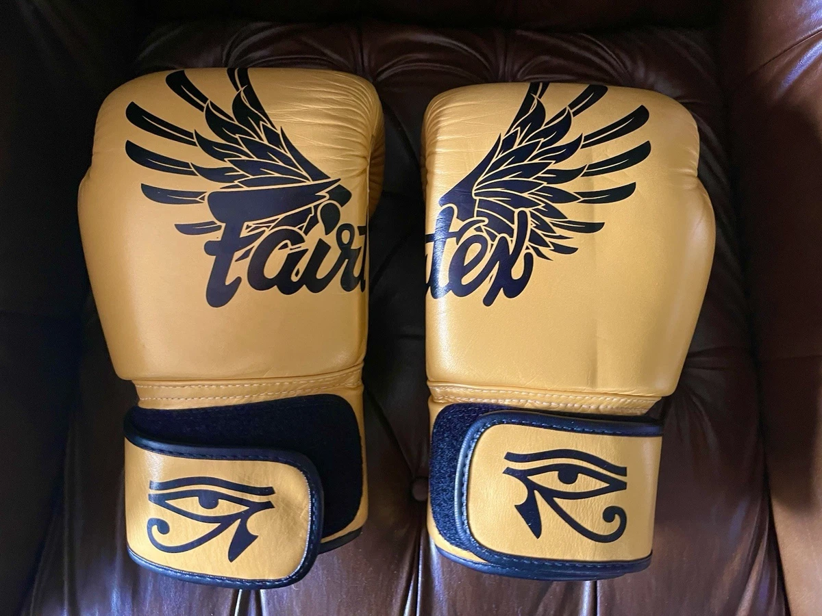 Fairtex 14 oz. Weight Boxing Gloves for sale | eBay
